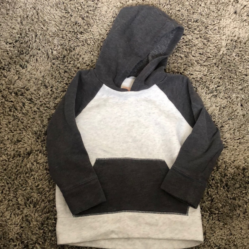 Toddler boys two tone hoodie